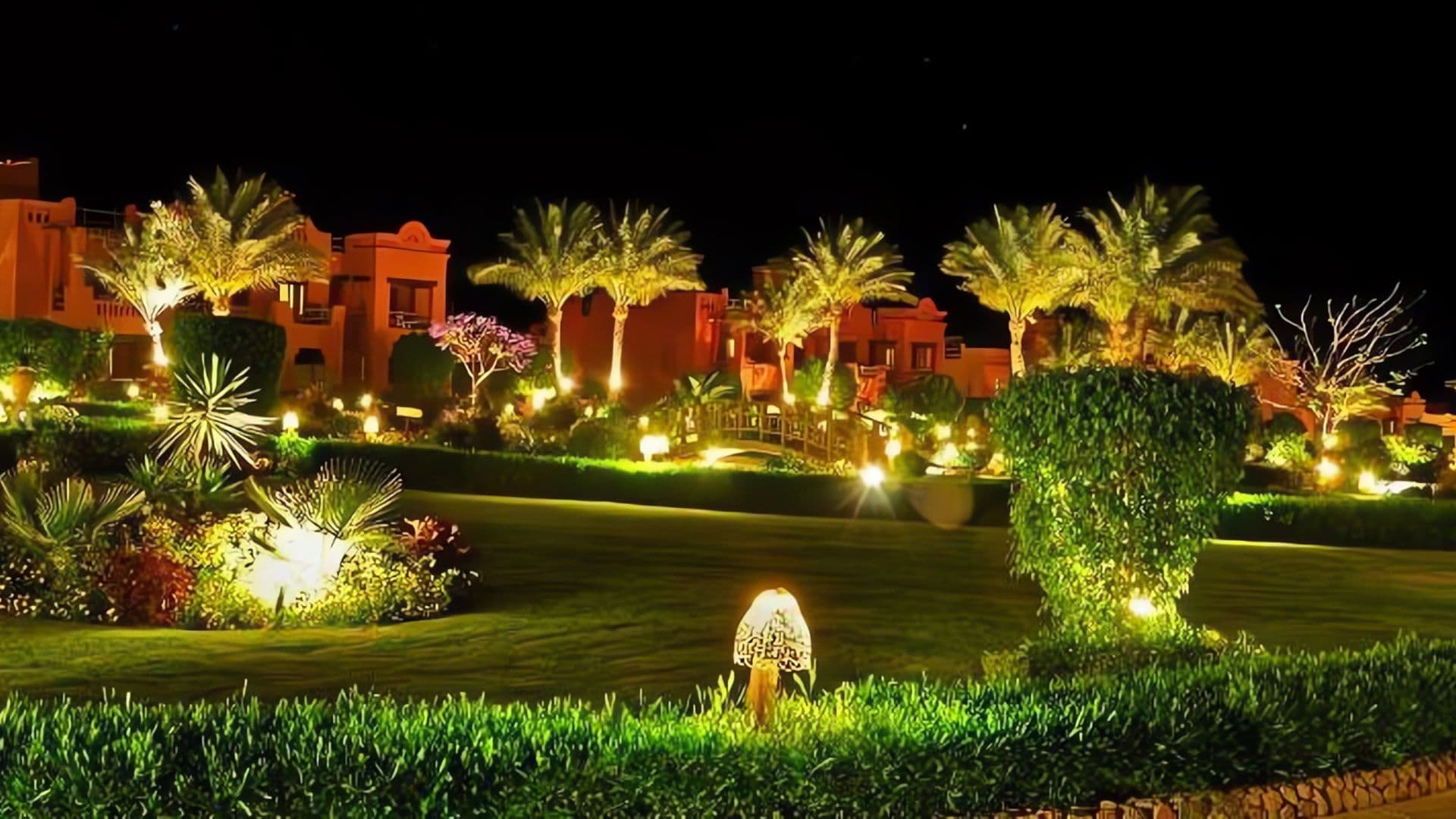 Palm tree uplighting with garden landscape lighting in Kansas City